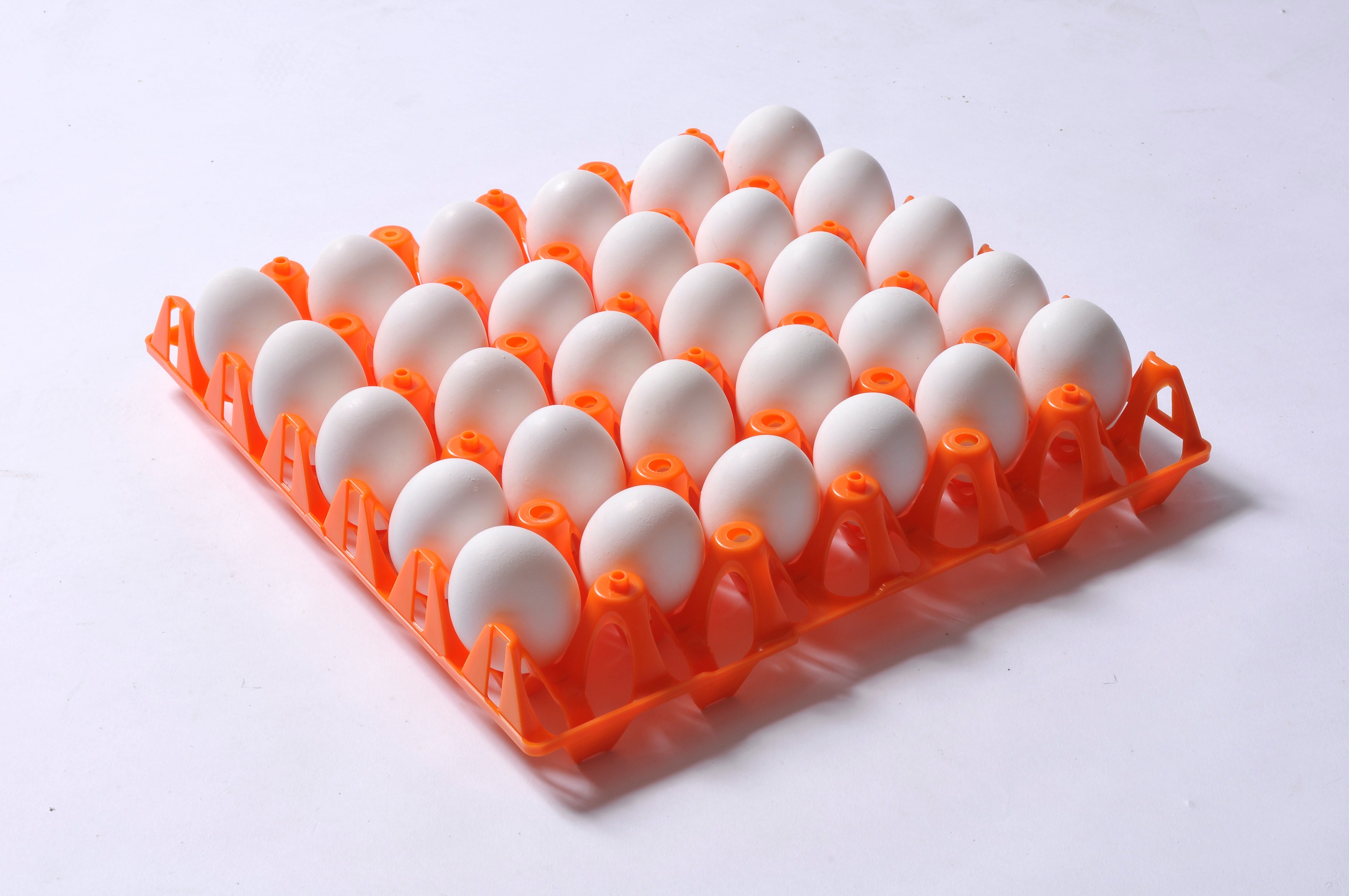 More than it’s cracked up to be: the science behind plastic egg tray design