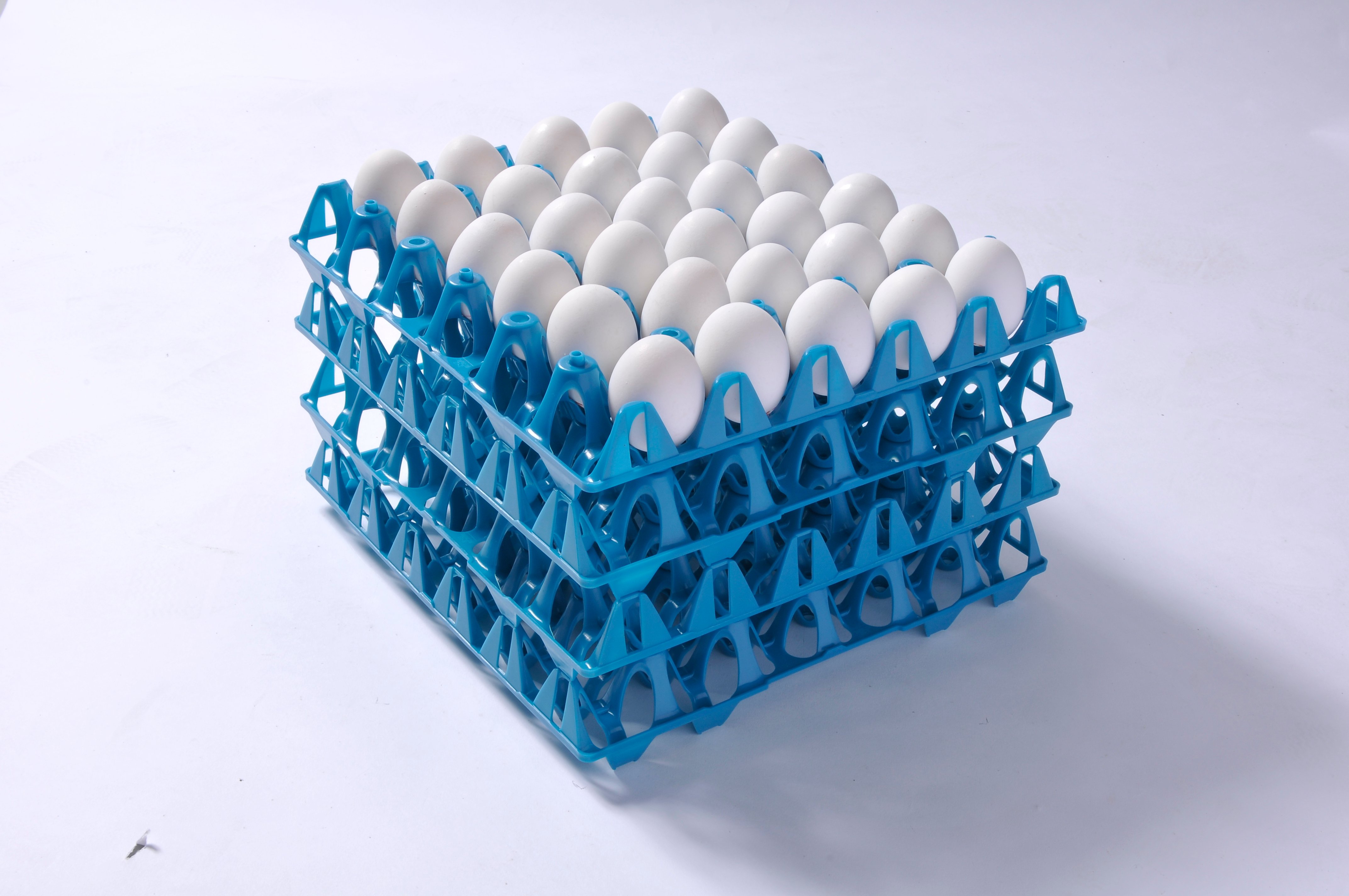 Why Efficient Egg Transportation Matters