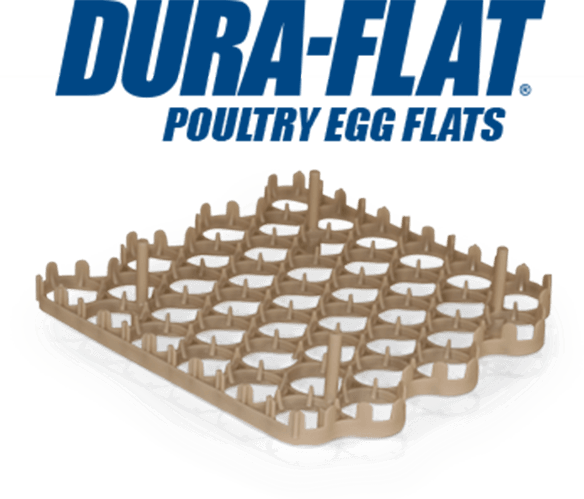 Dura Flat