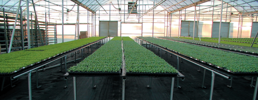 Duraplas Case  Study popes Plant Farm