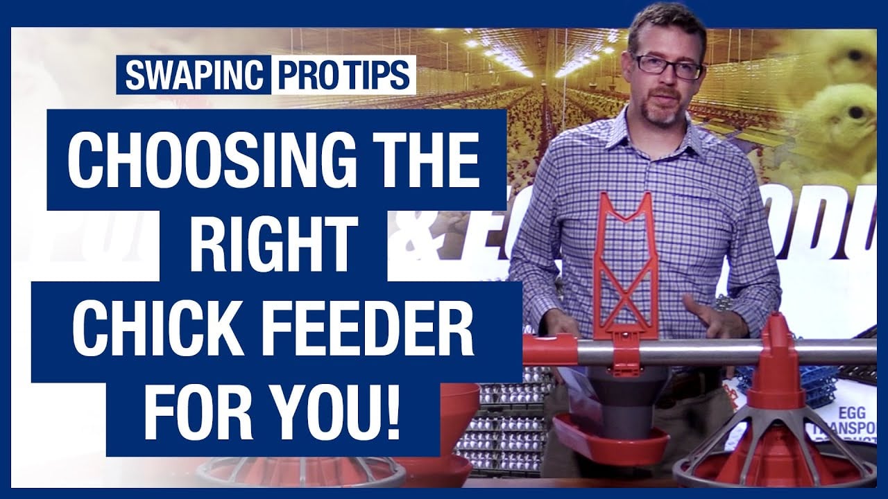 Pro Tips: Chick Feeders