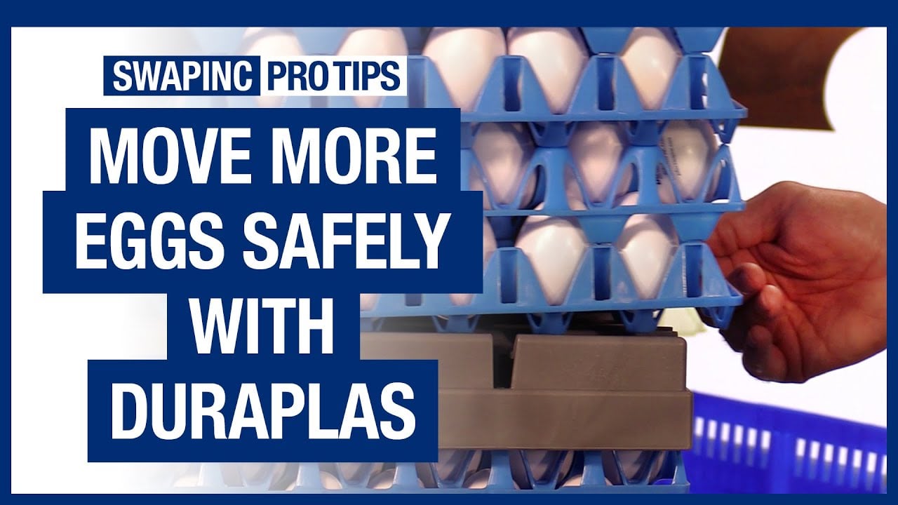 Pro Tips: Move More Eggs Safely with DuraPlas